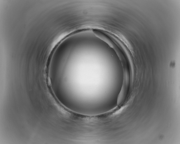 X0000091980893200709061352