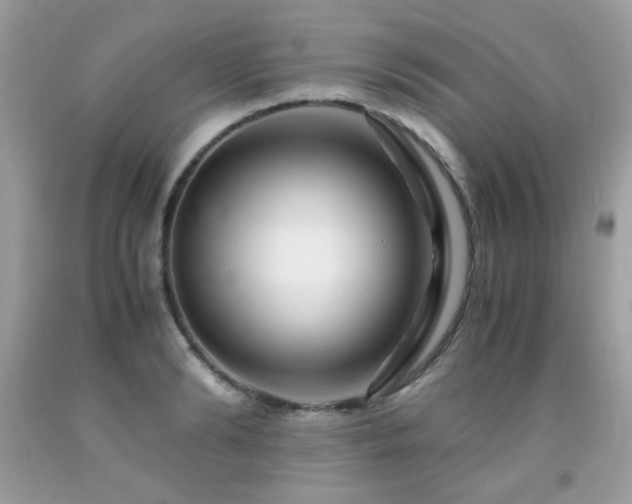 X0000091980894200709061352
