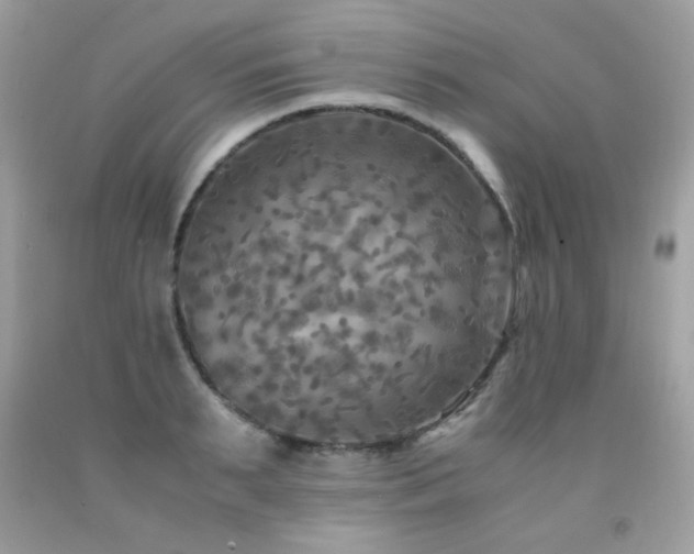 X0000091980895200709061352