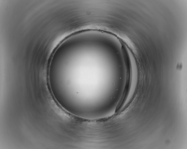 X0000091980896200709061352