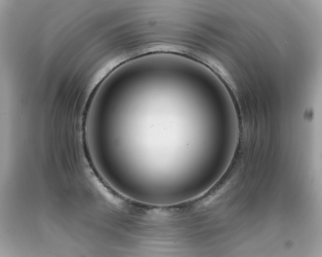 X0000091980898200709061352