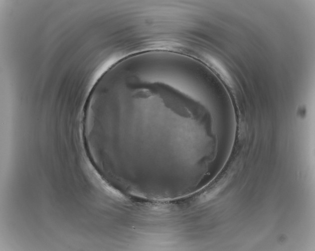 X0000091980899200709061352