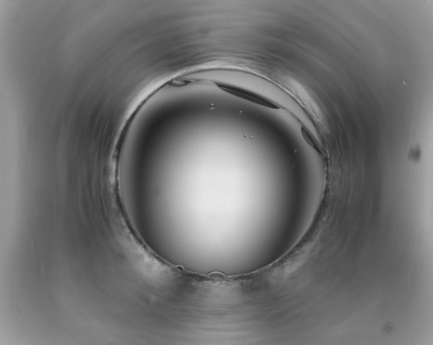 X0000091980900200709061352