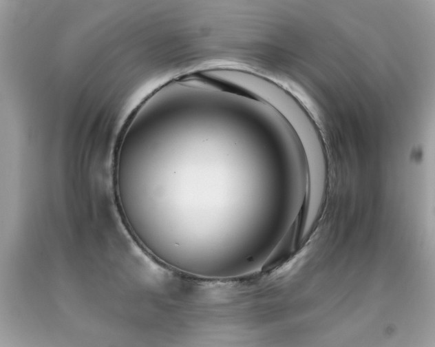 X0000091980902200709061352