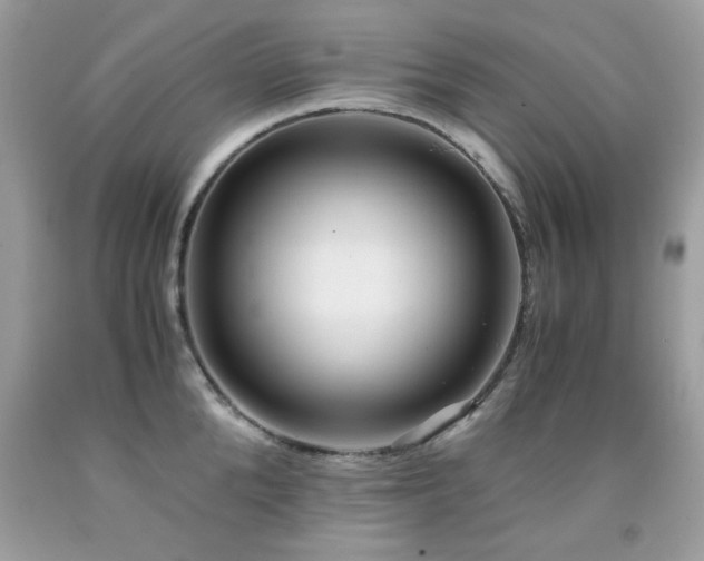 X0000091980904200709061352