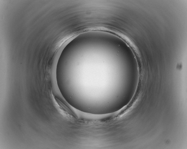 X0000091980905200709061352