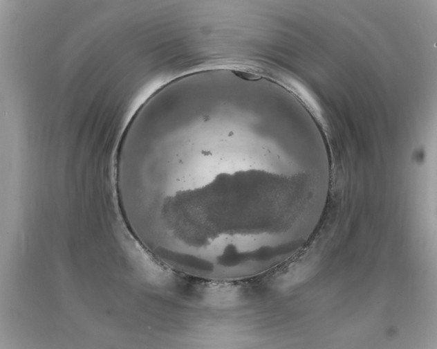 X0000091980907200709061352