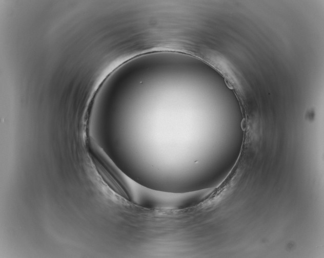 X0000091980908200709061352