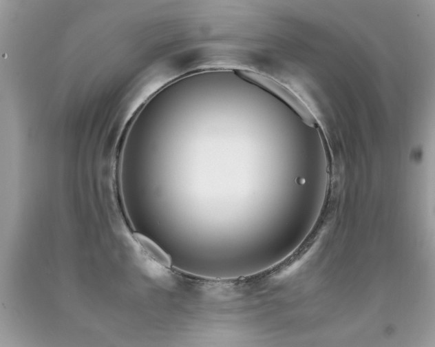 X0000091980909200709061352