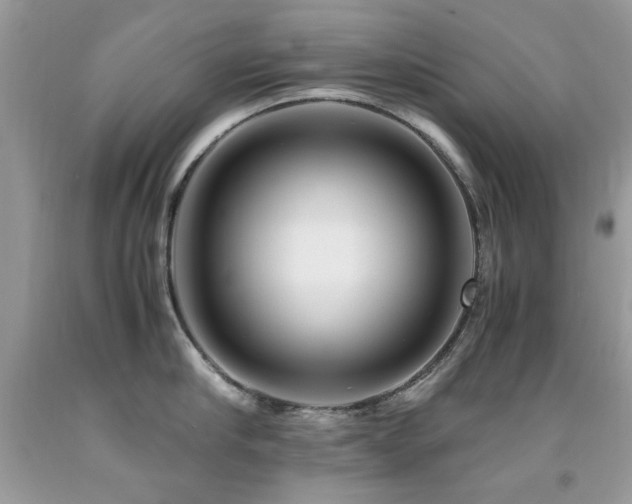 X0000091980910200709061352