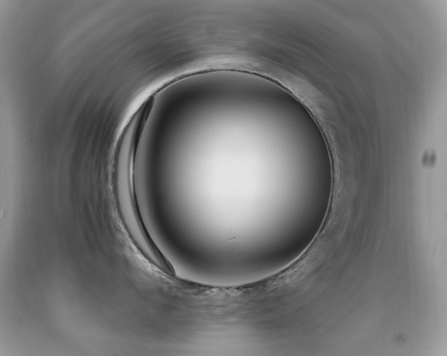 X0000091980912200709061352