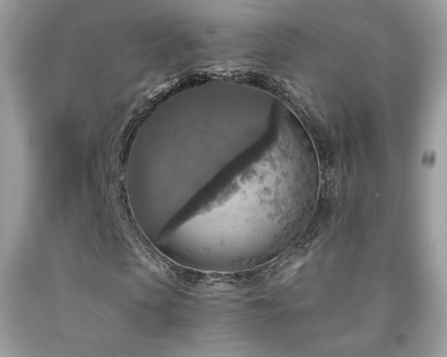 X0000091980913200709061351
