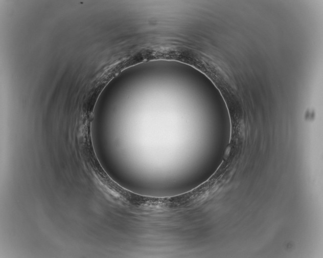 X0000091980914200709061351