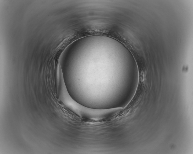 X0000091980915200709061351