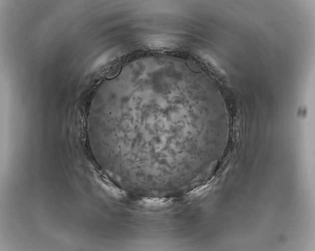 X0000091980917200709061351