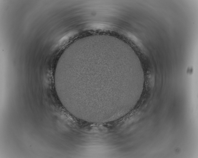 X0000091980918200709061351