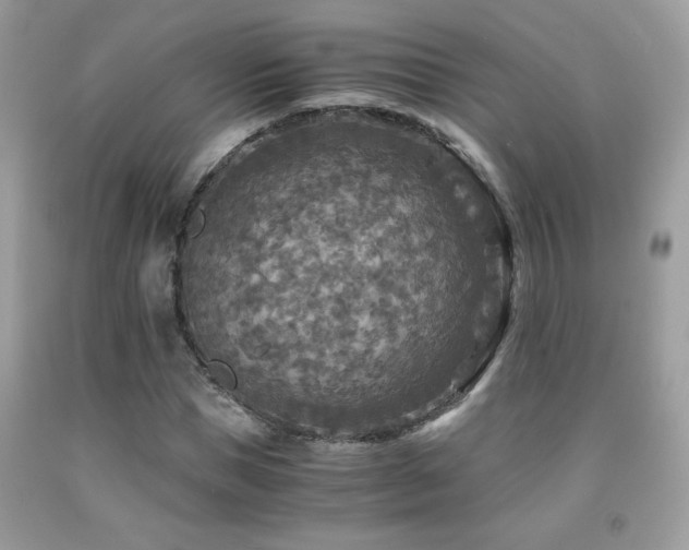 X0000091980921200709061351