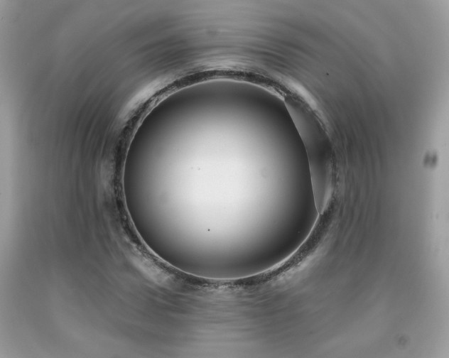 X0000091980922200709061351