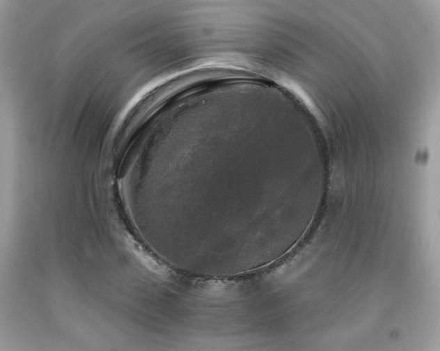 X0000091980923200709061351