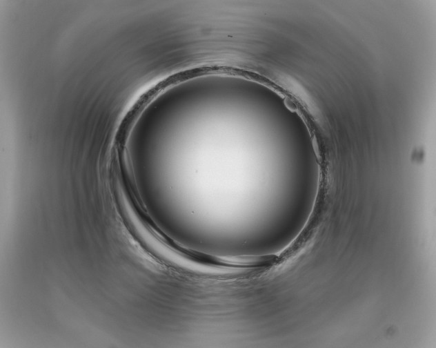 X0000091980924200709061351