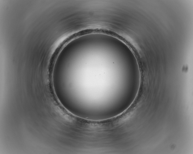 X0000091980927200709061351