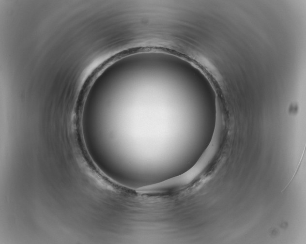 X0000091980928200709061351