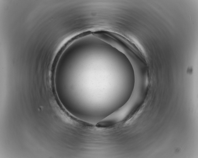 X0000091980932200709061351