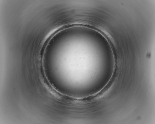 X0000091980933200709061351