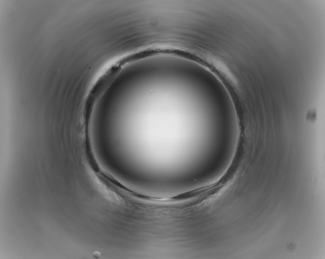X0000091980934200709061351