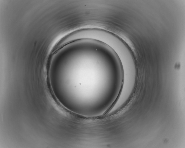 X0000091980936200709061351