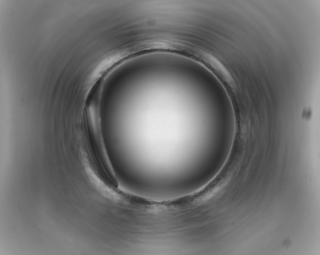 X0000091980938200709061351