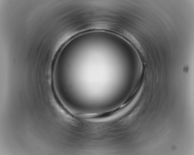 X0000091980939200709061351
