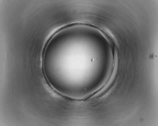 X0000091980940200709061351