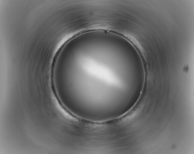 X0000091980941200709061351