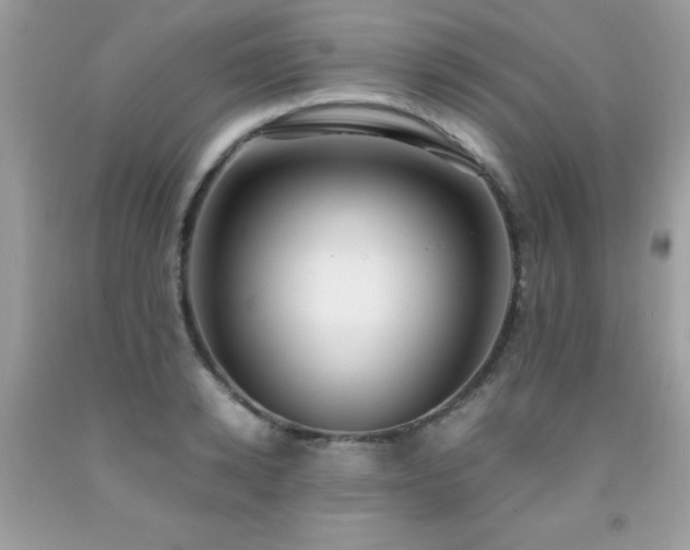 X0000091980942200709061351