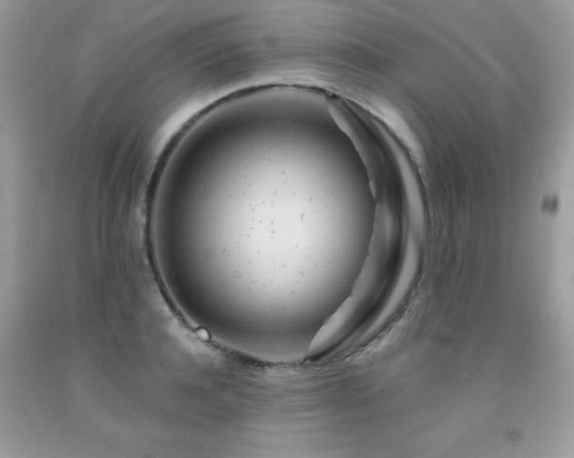 X0000091980944200709061351