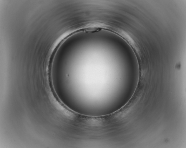 X0000091980947200709061351