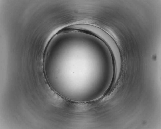 X0000091980948200709061351