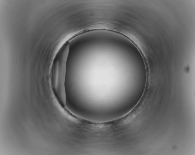 X0000091980949200709061351