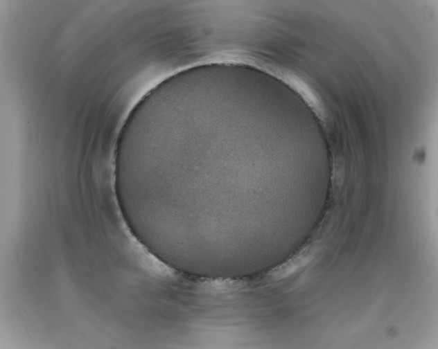 X0000091980950200709061351