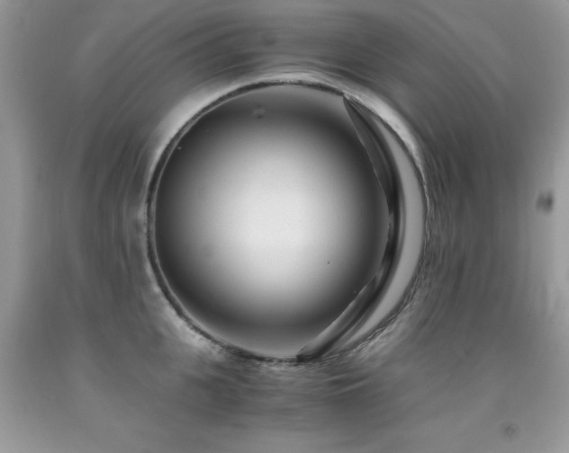 X0000091980951200709061351