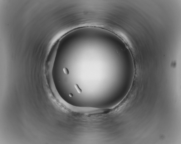 X0000091980952200709061351