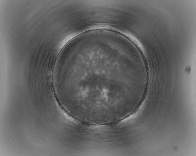 X0000091980953200709061351