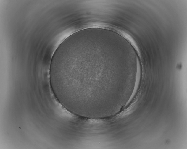 X0000091980954200709061351