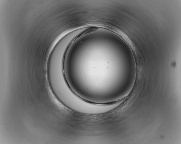 X0000091980955200709061351