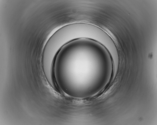 X0000091980956200709061352