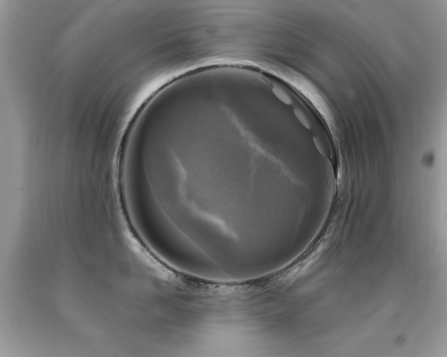 X0000091980958200709061352