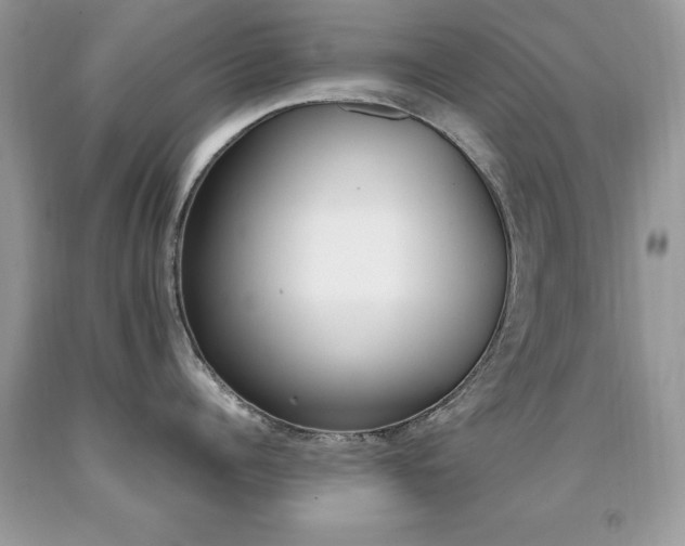 X0000091980960200709061352