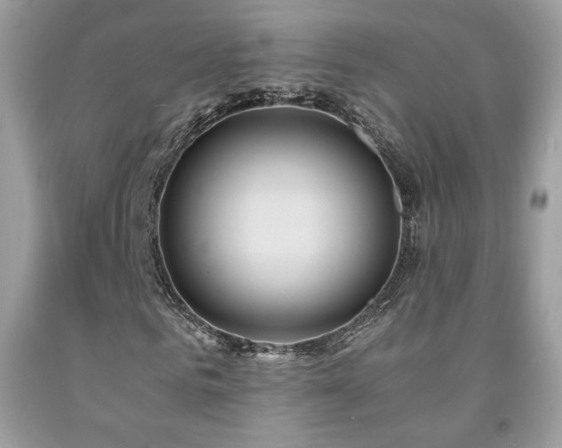 X0000091980961200709061351