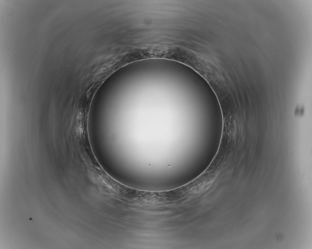 X0000091980962200709061351